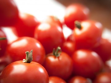 Fresh Tomatoes